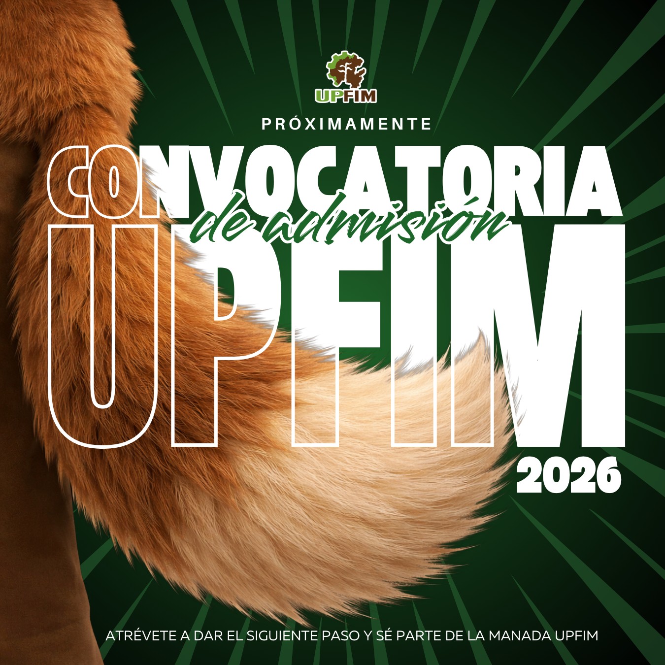 Próxima emisión de fichas UPFIM 2026