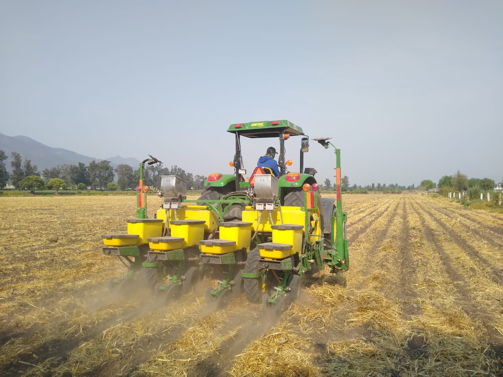 Plataforma Experimental CIMMYT