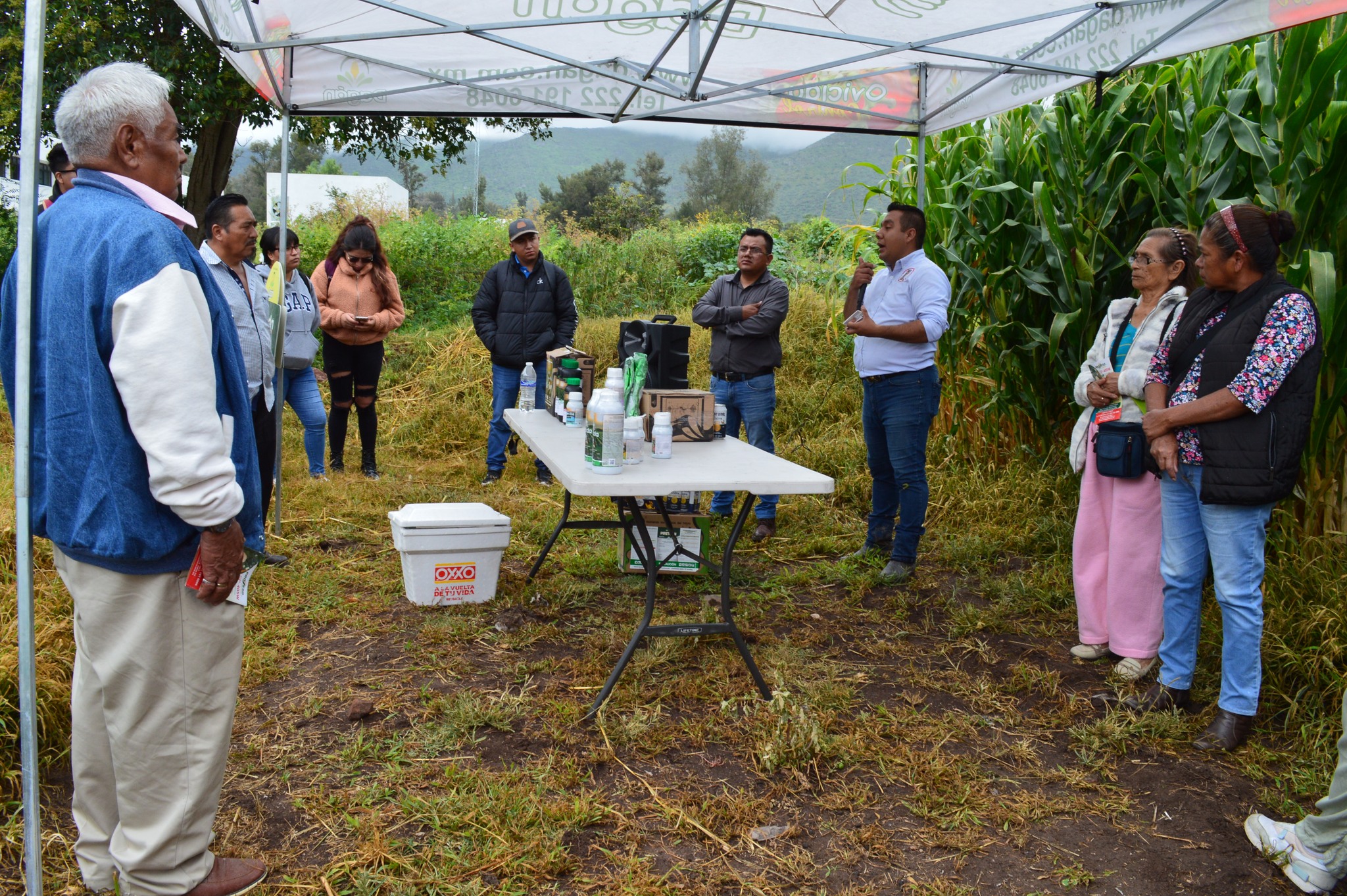Nodos de innovación tecnológica y sinergia con el sector agrícola